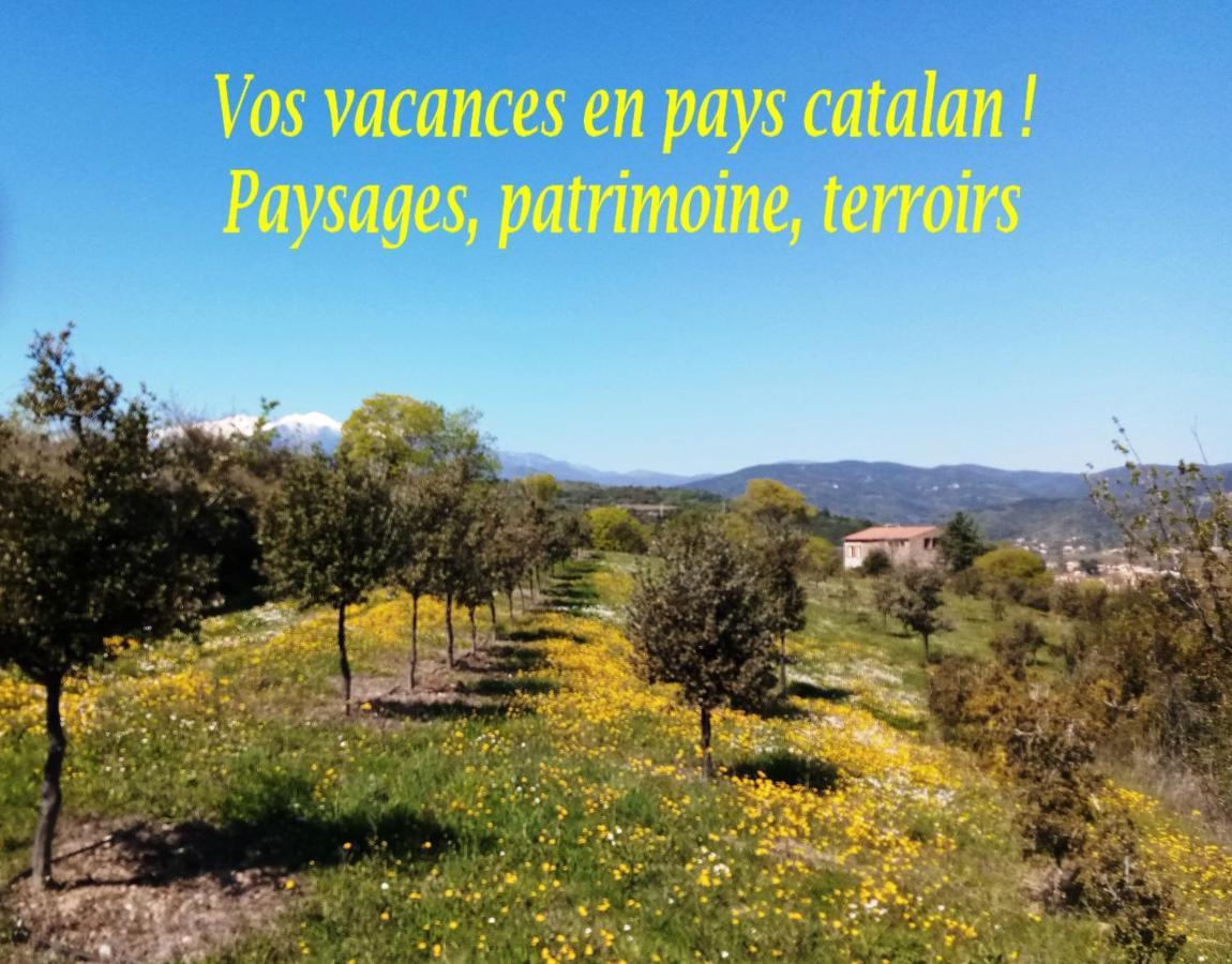 Appartement Ta Maria à Céret Extérieur photo